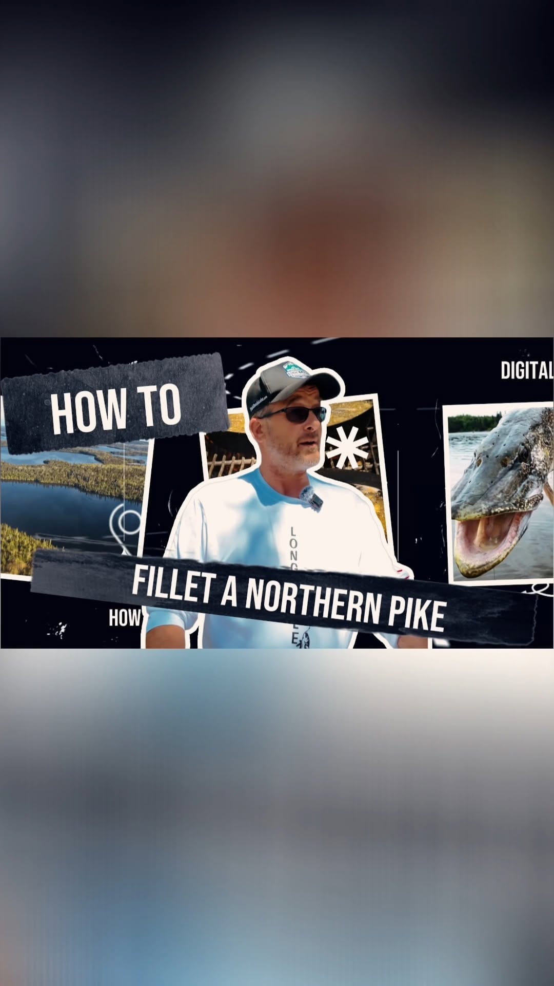 Post 6 by Fish'n Canada on Instagram (video)
