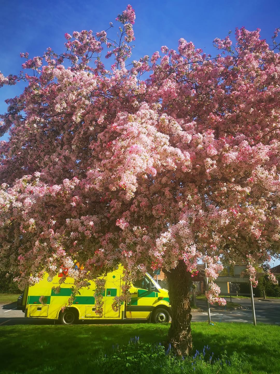 Post 5 by South East Coast Ambulance NHS on Instagram (image)
