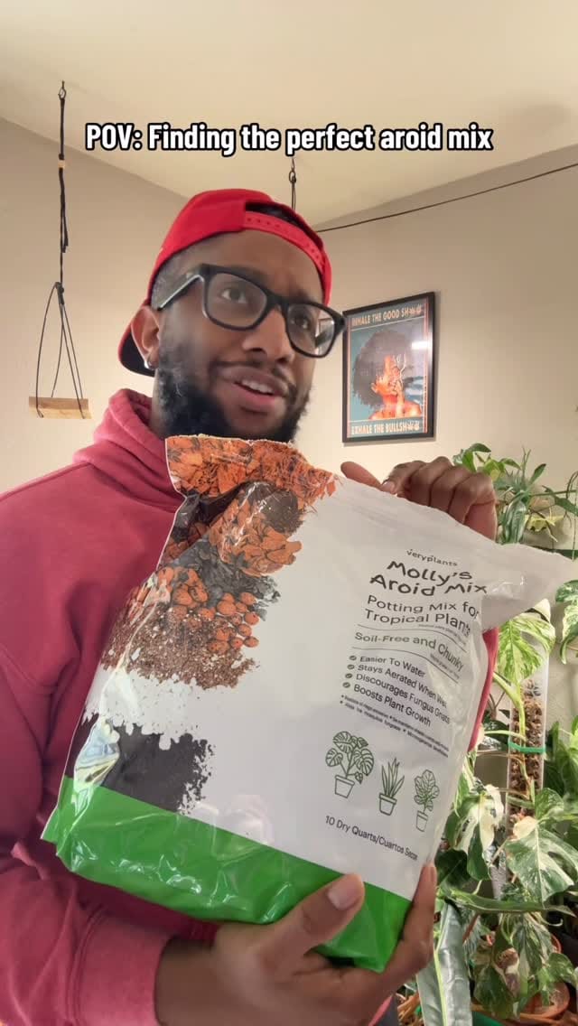 Post 3 by Veryplants on Instagram (video)