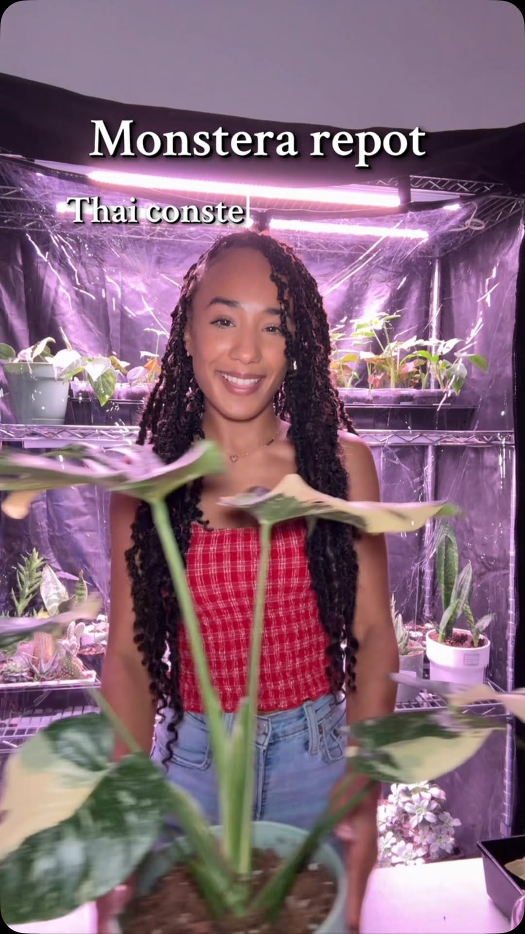 Post 10 by Veryplants on Instagram (video)