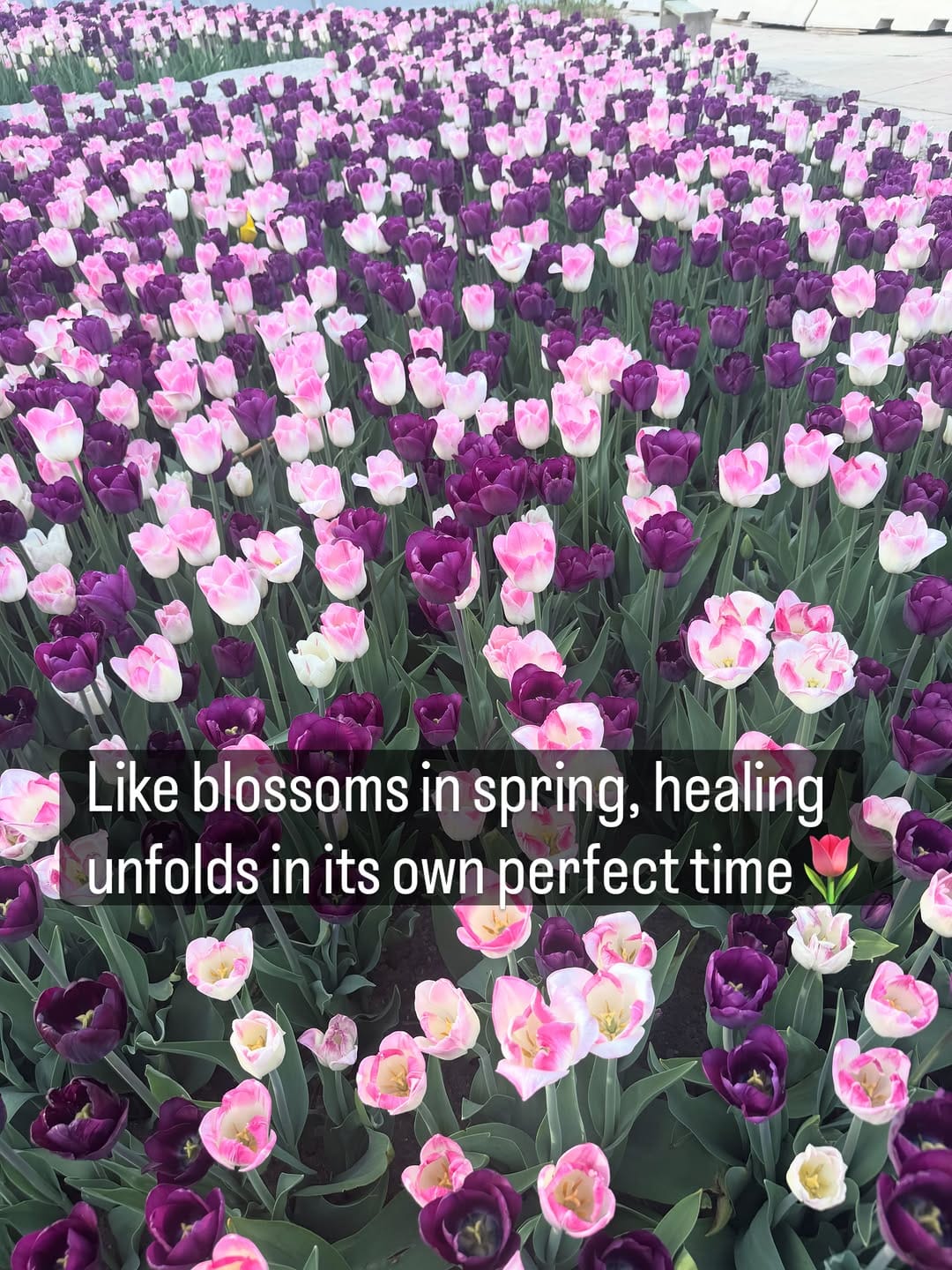 Post 1 by Dr Rattandeep Kaur on Instagram (carousel)