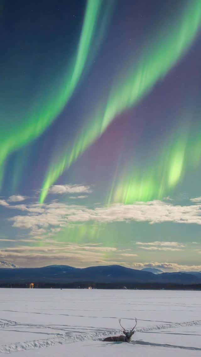 Post 3 by Peter Mather on Instagram (video)