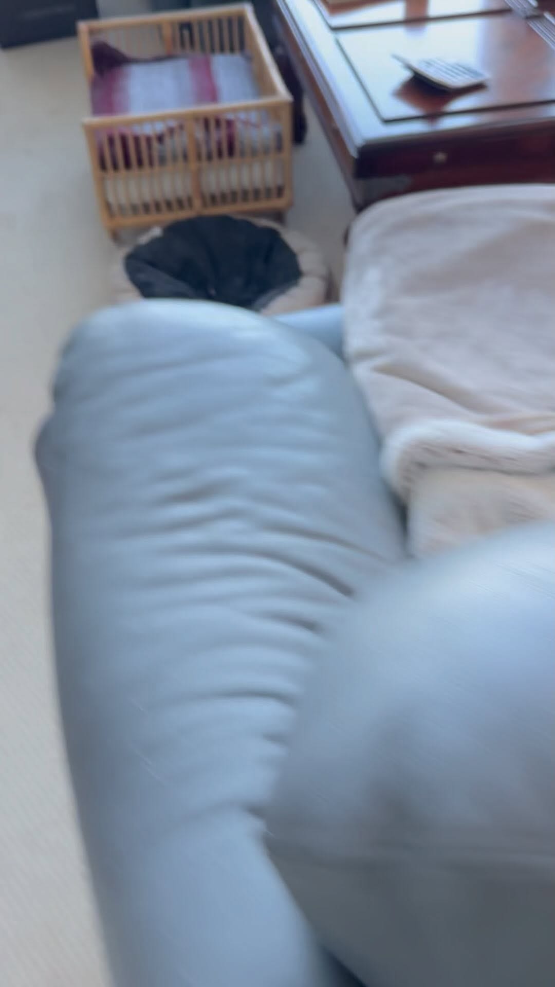 Post 1 by Chester, Ren & Katniss on Instagram (video)