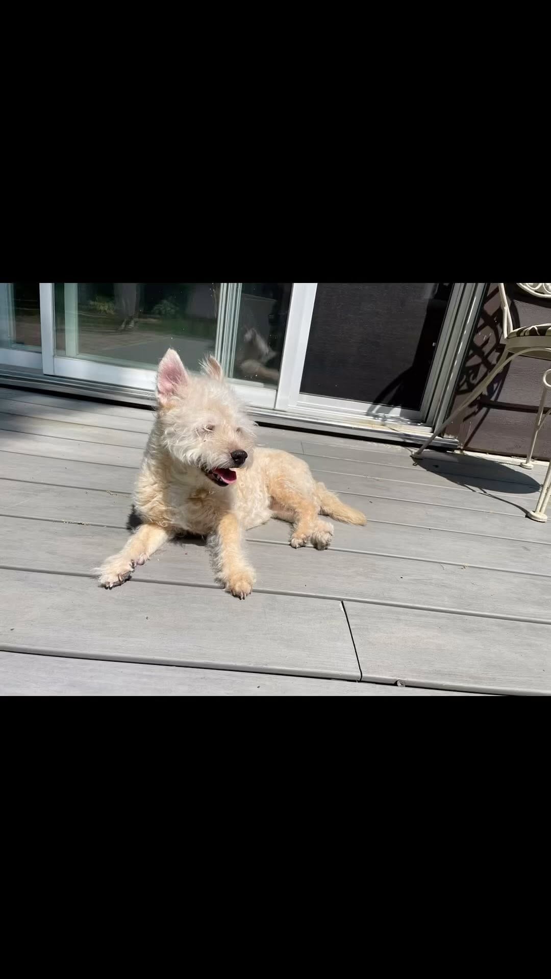 Post 9 by Justin Ing on Instagram (video)