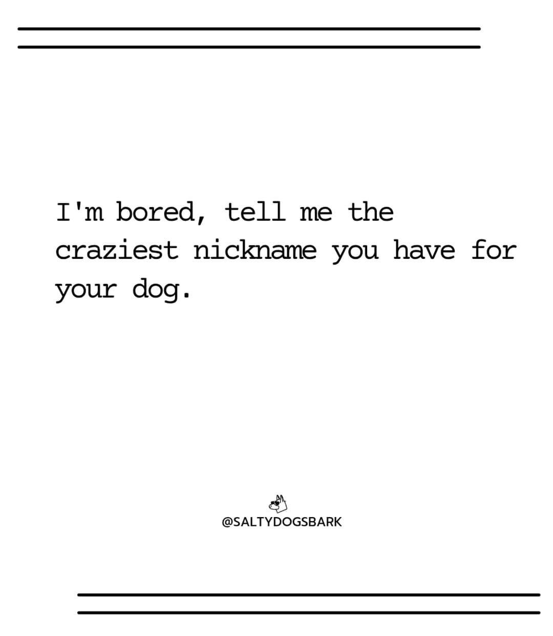 Post 2 by Salty Dogs Barkery on Instagram (image)