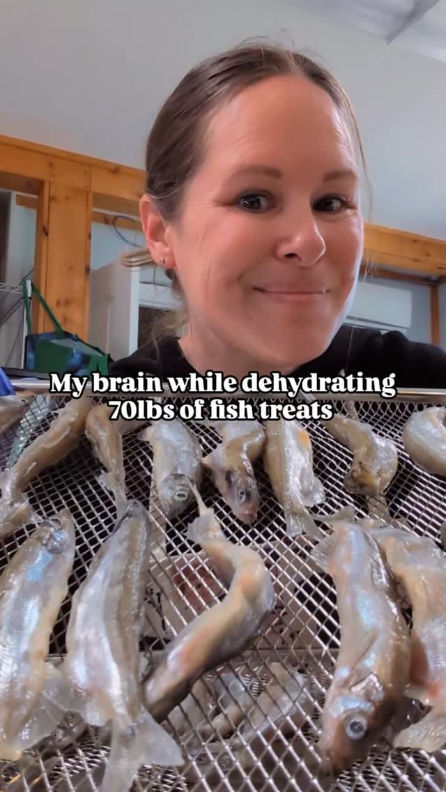 Post 4 by Salty Dogs Barkery on Instagram (video)