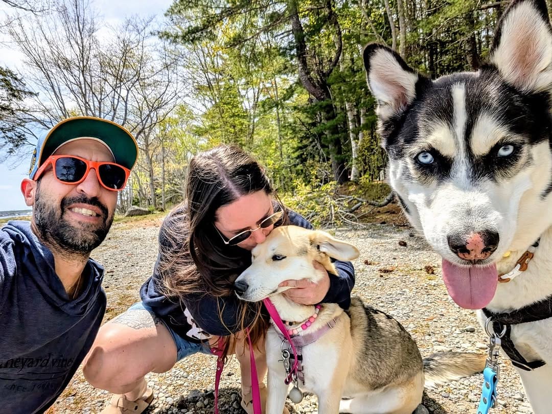 Post 10 by Salty Dogs Barkery on Instagram (image)
