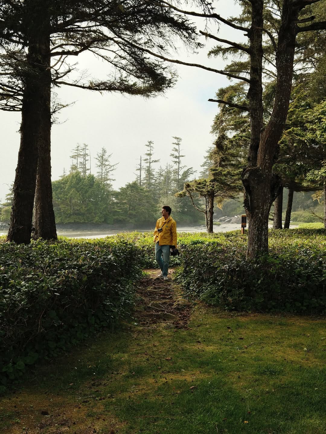 Post 9 by Pacific Sands Beach Resort on Instagram (carousel)