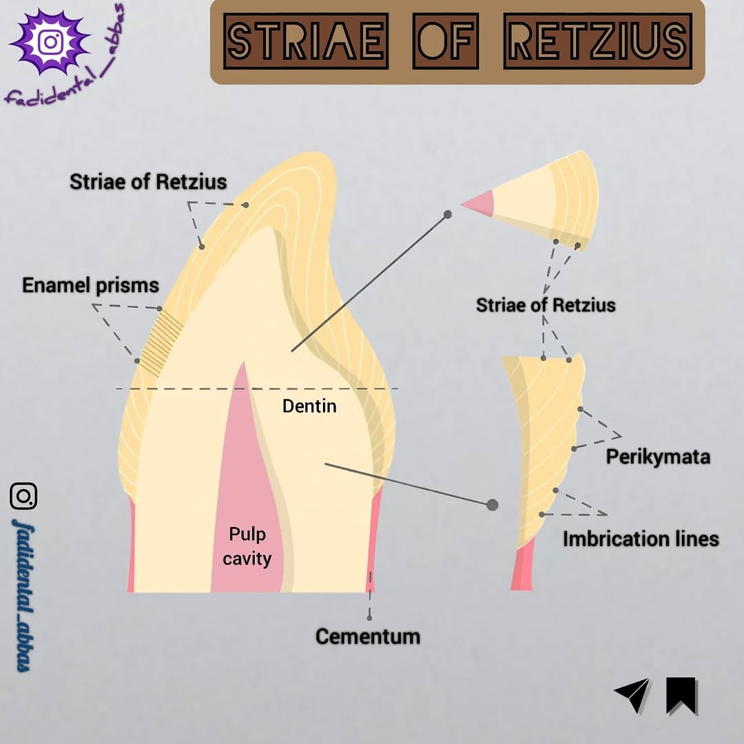 Post 7 by Dr. Fadi Al Abbas on Instagram (image)