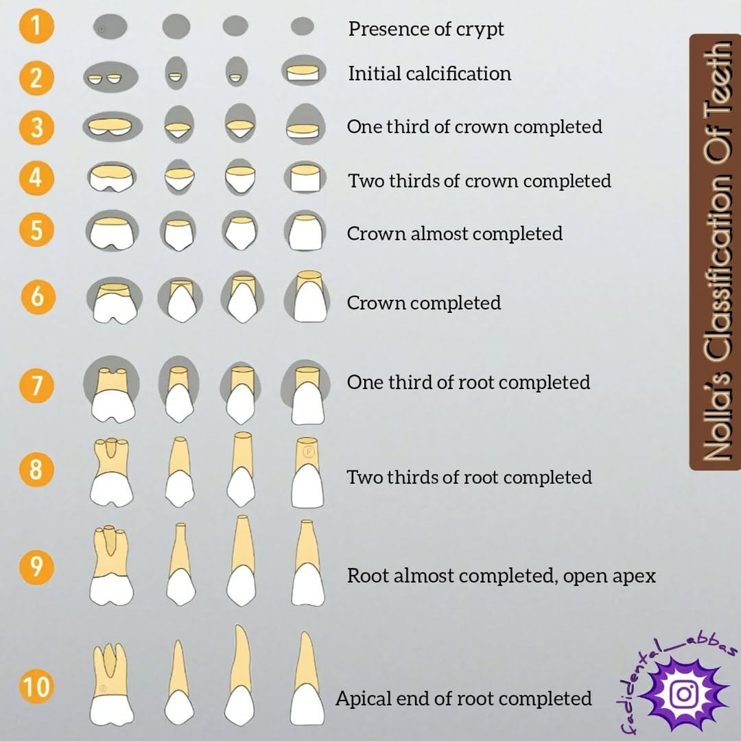 Post 2 by Dr. Fadi Al Abbas on Instagram (image)