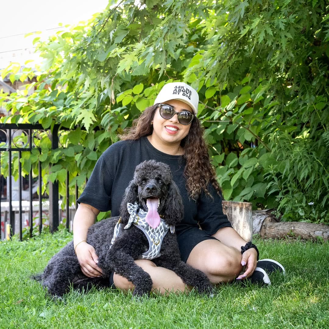 Post 6 by Linus and Co. | Pet Products on Instagram (image)