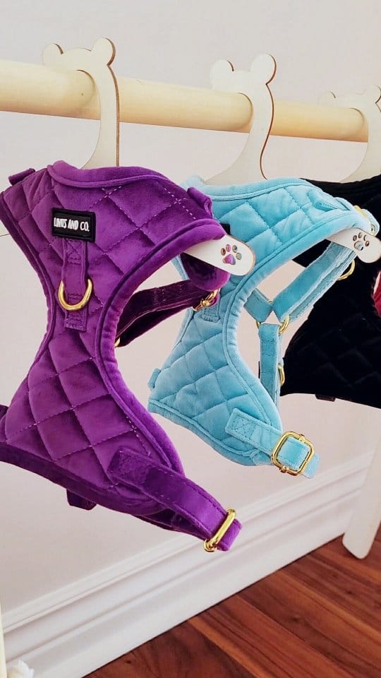 Post 10 by Linus and Co. | Pet Products on Instagram (video)