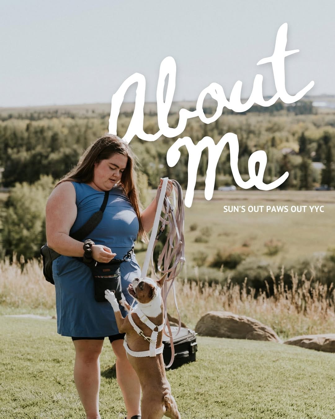 Post 3 by YYC Dog Training & Pet Sitting| Alberta Pet Wedding Attendant 🐾 on Instagram (image)