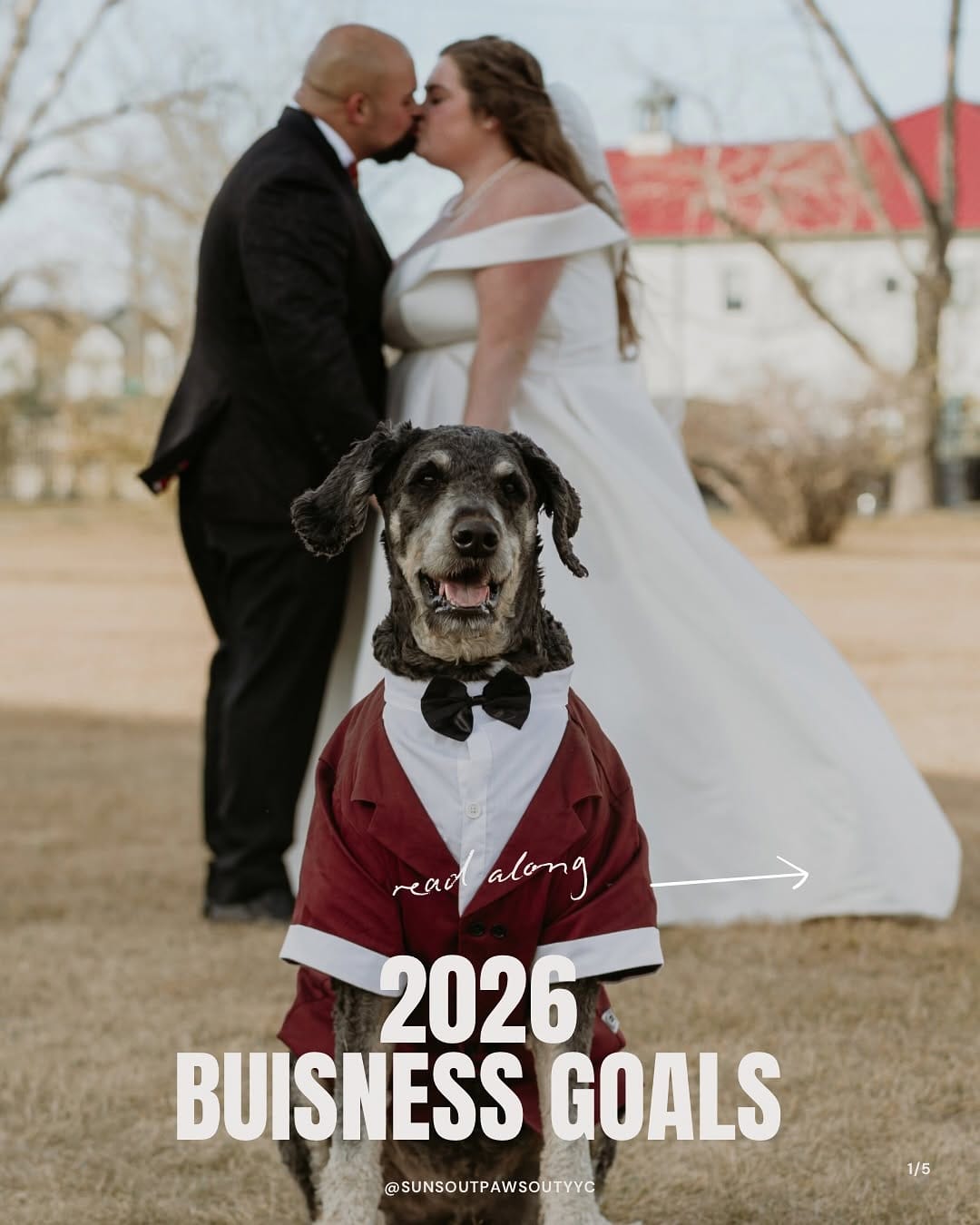 Post 9 by YYC Dog Training & Pet Sitting| Alberta Pet Wedding Attendant 🐾 on Instagram (carousel)