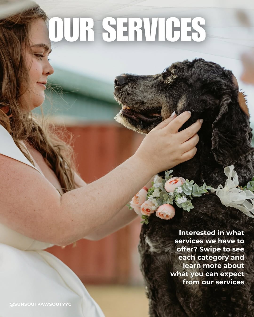 Post 10 by YYC Dog Training & Pet Sitting| Alberta Pet Wedding Attendant 🐾 on Instagram (carousel)