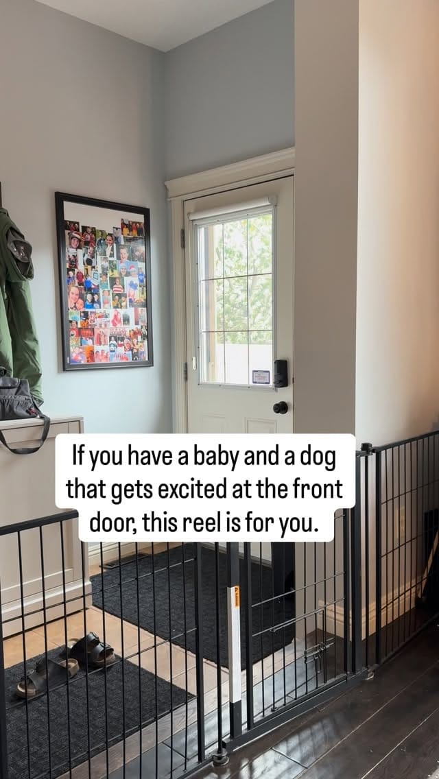 Post 7 by YYC Dog Training & Pet Sitting| Alberta Pet Wedding Attendant 🐾 on Instagram (video)