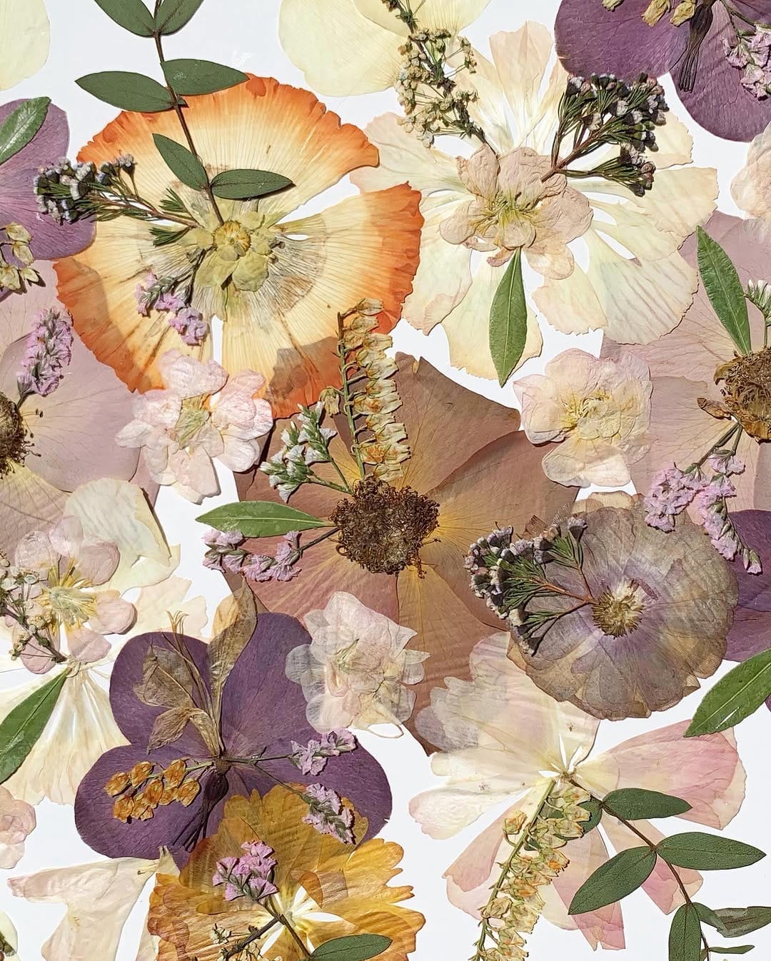 Post 1 by Vancouver Bouquet Preservation by Britt Reston on Instagram (carousel)