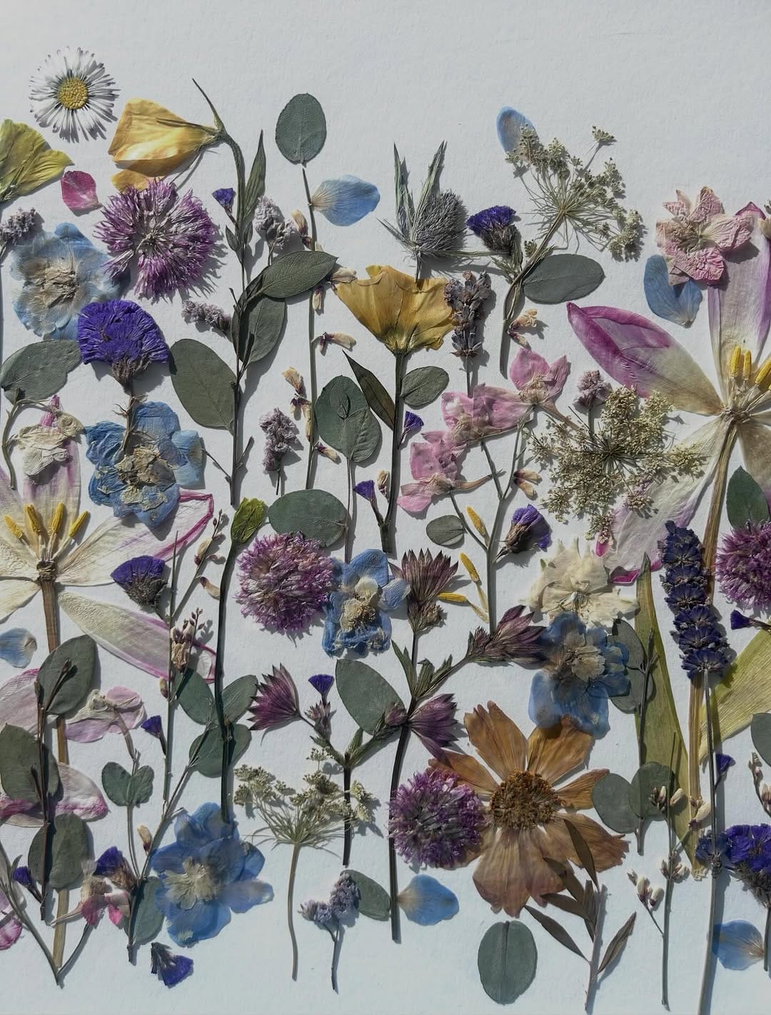 Post 6 by Vancouver Bouquet Preservation by Britt Reston on Instagram (carousel)