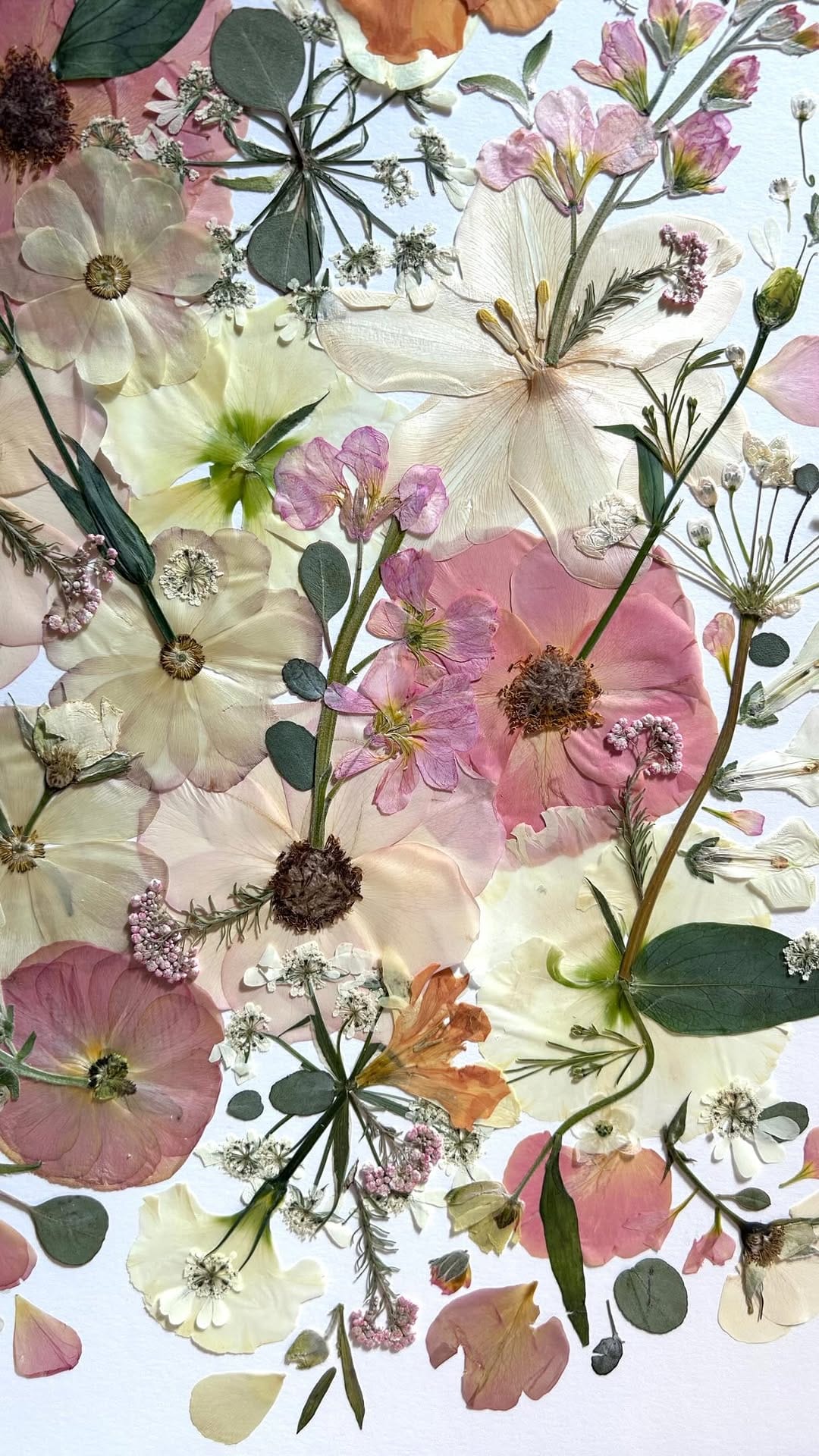 Post 4 by Vancouver Bouquet Preservation by Britt Reston on Instagram (video)