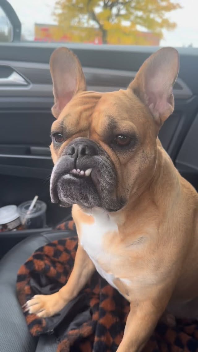 Post 7 by I Have To Call My Sister on Instagram (video)