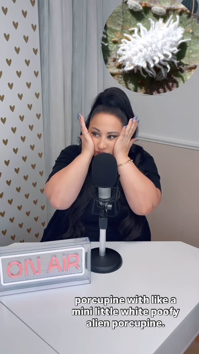 Post 10 by I Have To Call My Sister on Instagram (video)