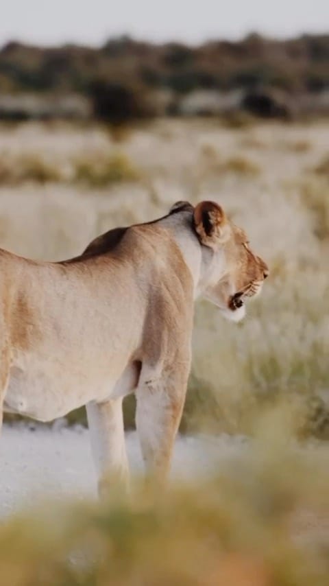 Post 1 by Quebecois En Voyage on Instagram (video)
