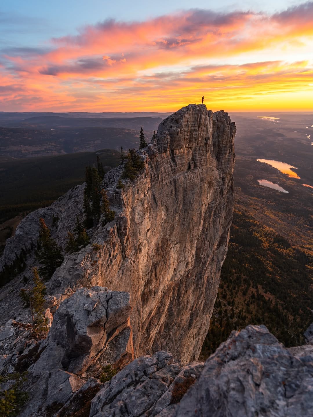 Post 2 by Cole DeMarco on Instagram (image)