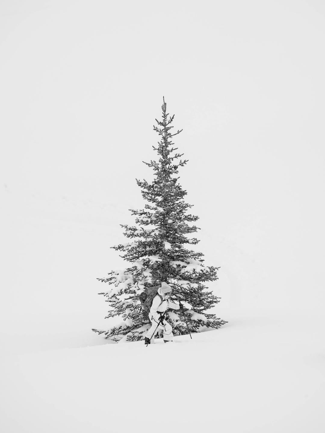 Post 7 by Reuben Krabbe on Instagram (image)