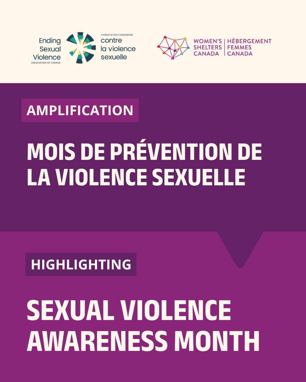 Post 3 by Women's Shelters Canada on Instagram (image)