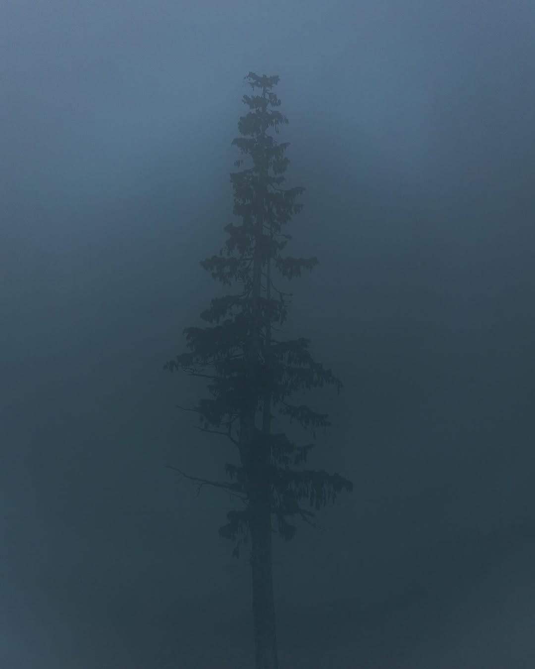 Post 10 by KIMBERLEY KUFAAS on Instagram (image)