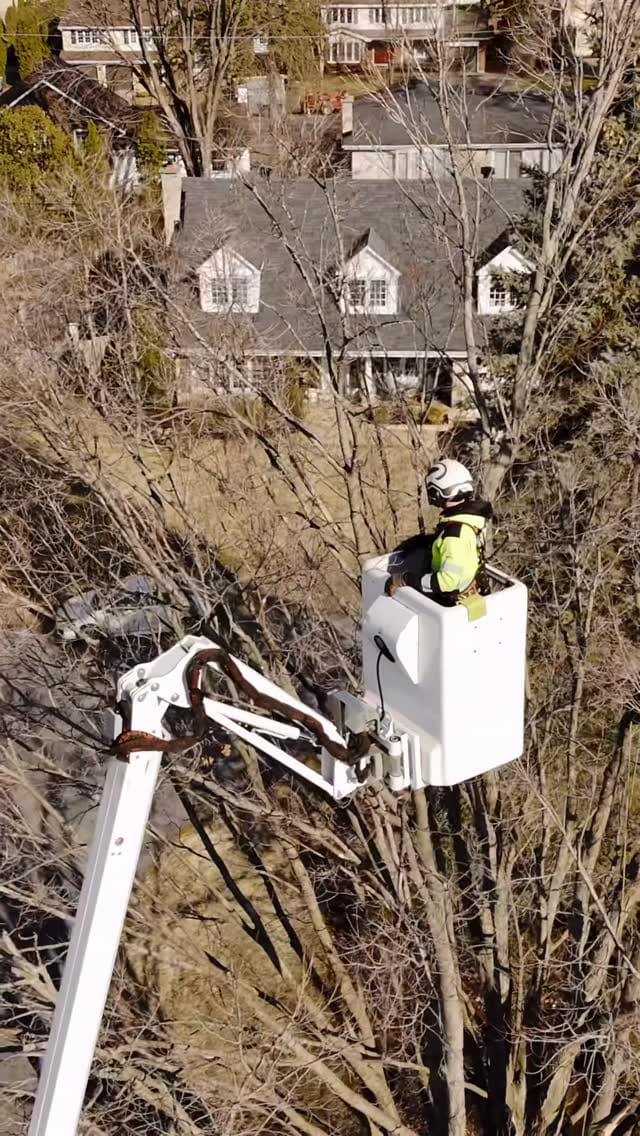 Post 7 by James Joest on Instagram (video)