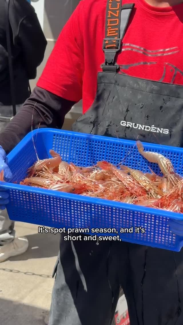 Post 7 by Visit Richmond BC on Instagram (video)