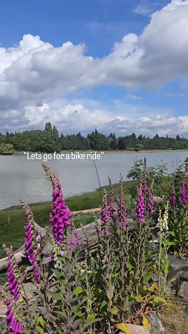 Post 3 by Visit Richmond BC on Instagram (video)