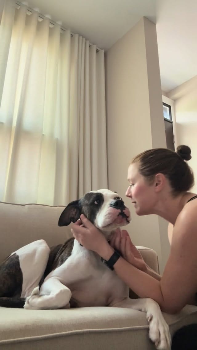 Post 2 by TEAM Dog Rescue on Instagram (video)