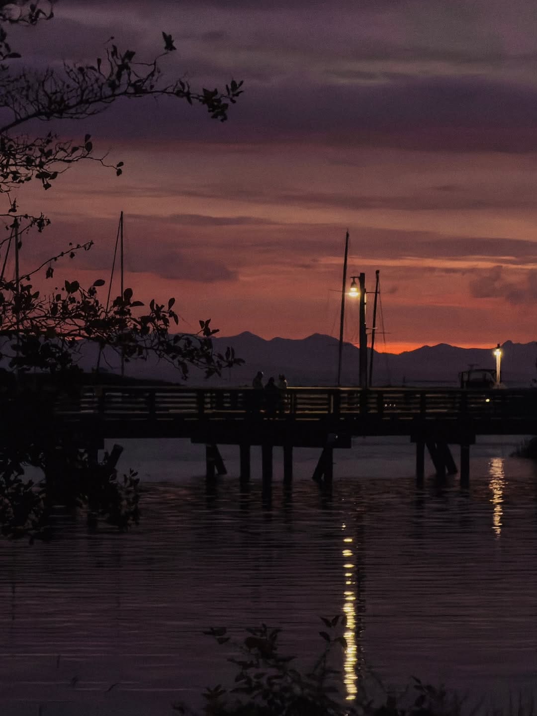 Post 8 by Nima Zadrafi on Instagram (image)