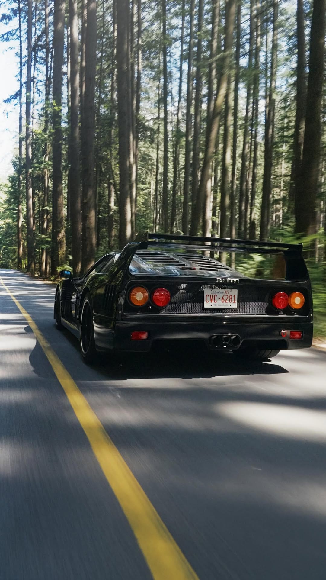 Post 1 by Nima Zadrafi on Instagram (video)