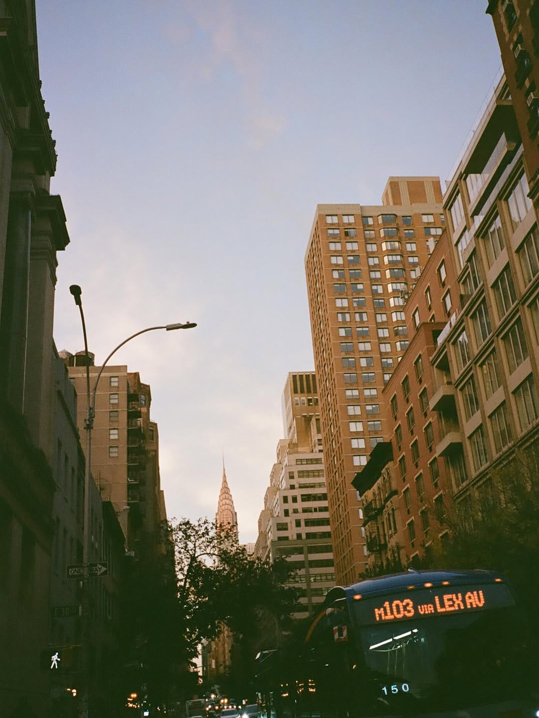 Post 7 by Lee Mary Manning on Instagram (image)
