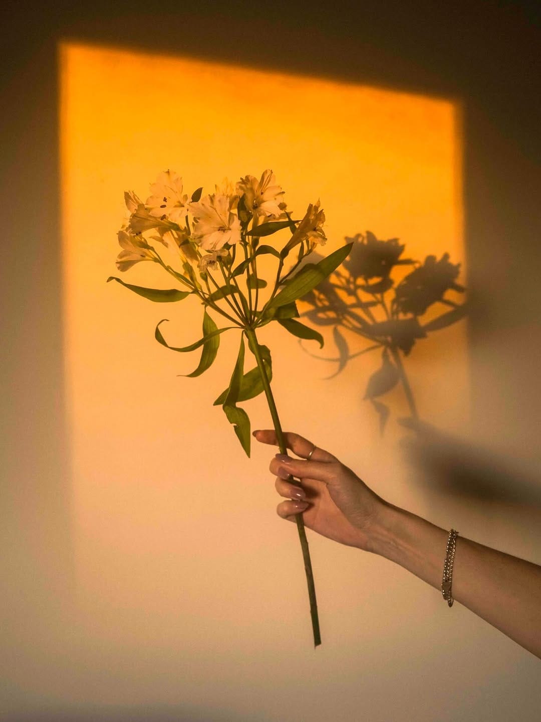 Post 6 by Leah 🌷 on Instagram (carousel)