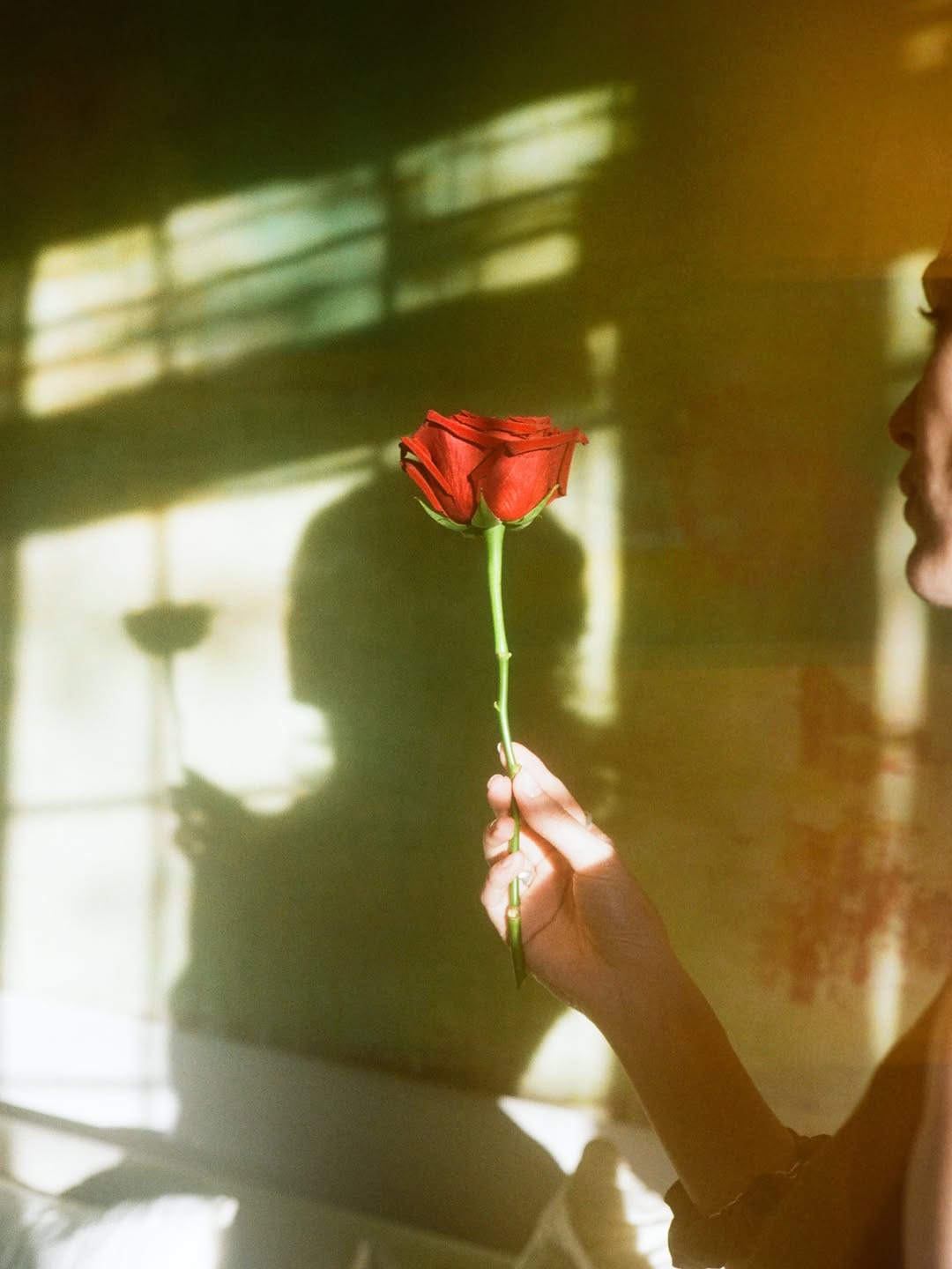 Post 1 by Leah 🌷 on Instagram (carousel)