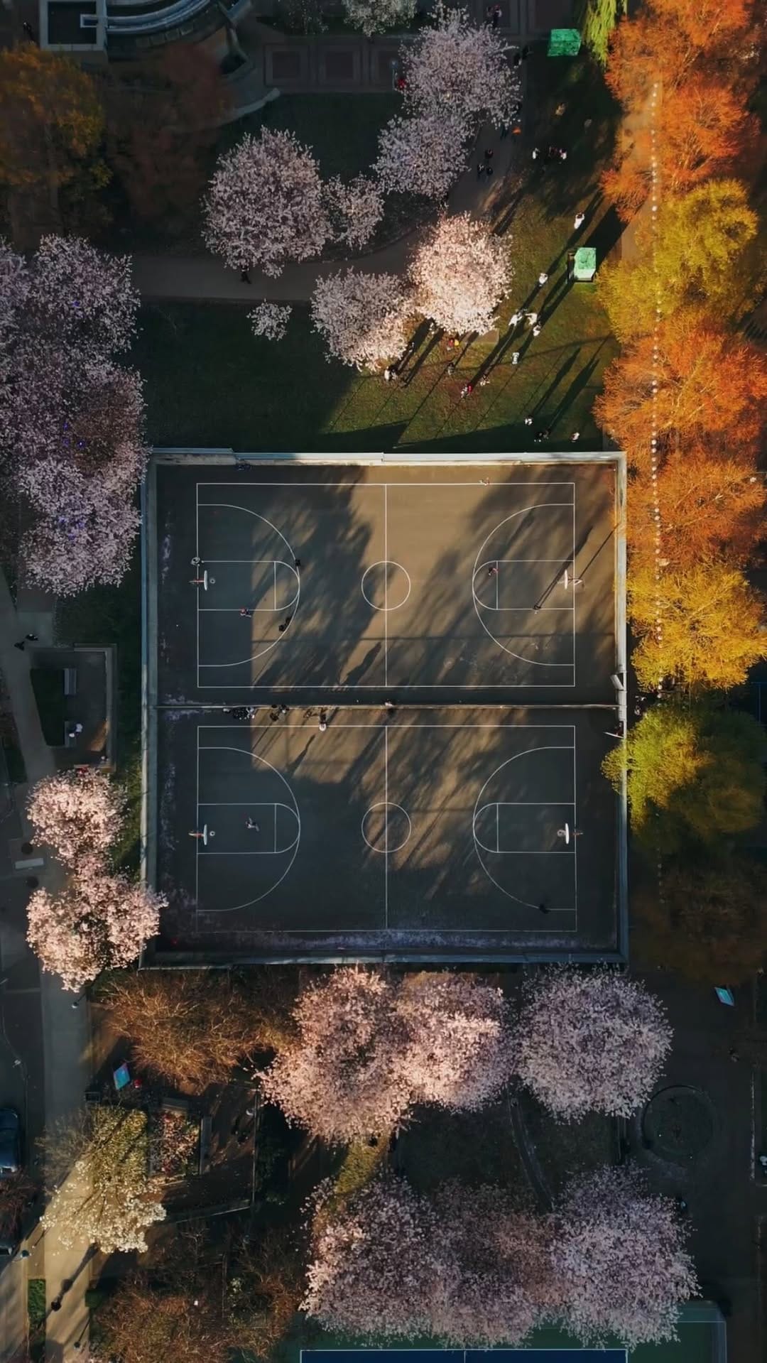 Post 7 by Tiffany Ho on Instagram (video)