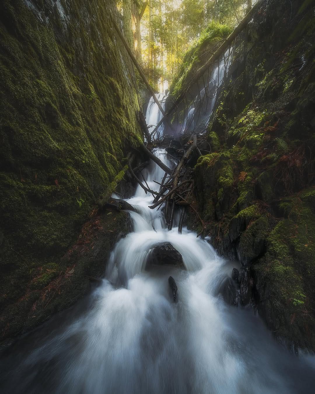 Post 7 by The Luminaters on Instagram (image)