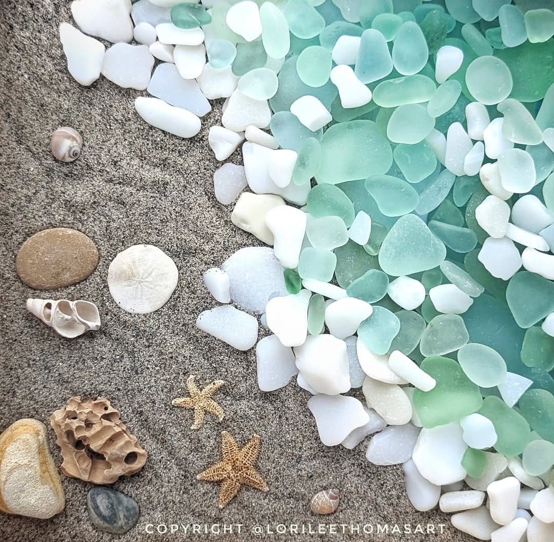 Post 7 by Lori-Lee Thomas on Instagram (image)