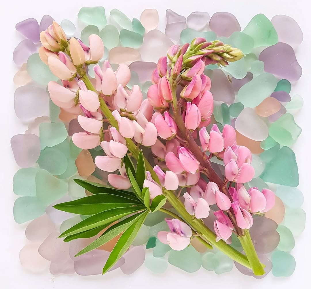Post 4 by Lori-Lee Thomas on Instagram (image)