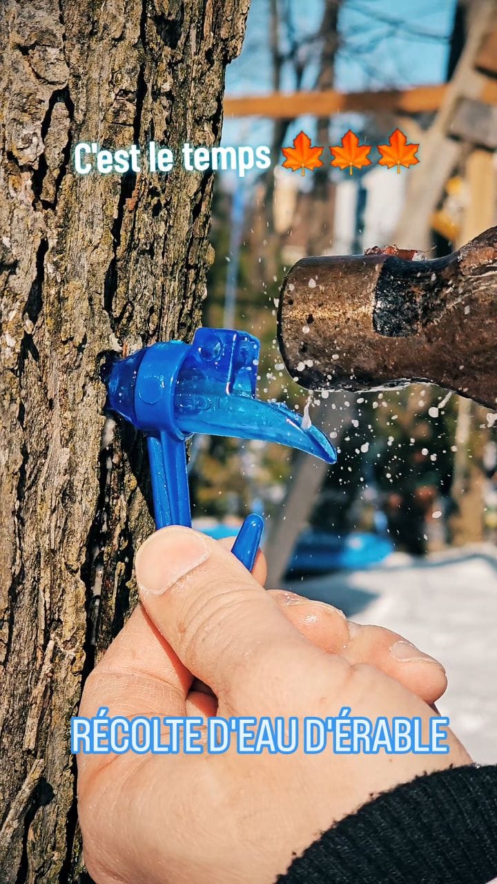 Post 5 by Vivre au Québec on Instagram (video)