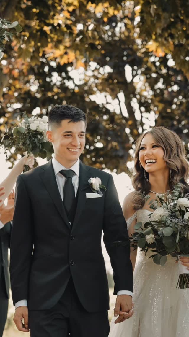 Post 4 by Manish & Andra Photography on Instagram (video)