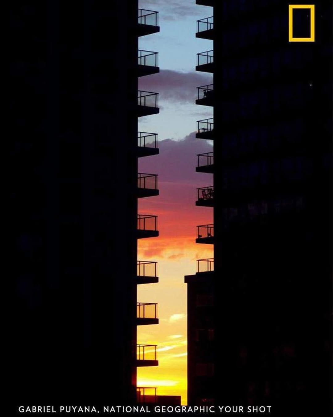 Post 10 by Gabriel Puyana on Instagram (image)