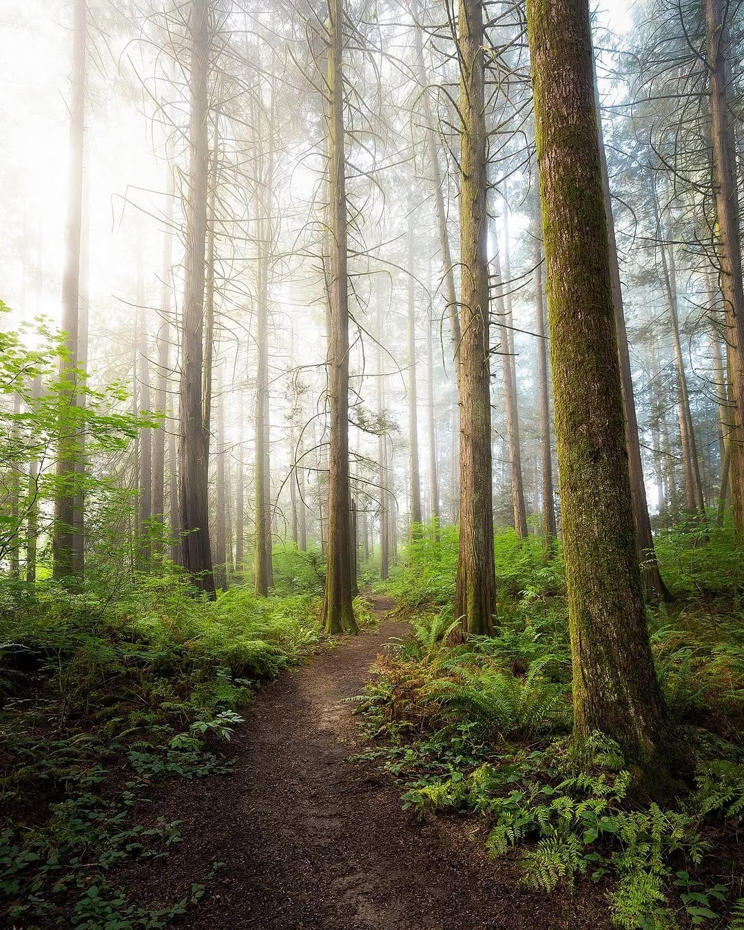 Post 10 by Kaden Van Buren on Instagram (image)