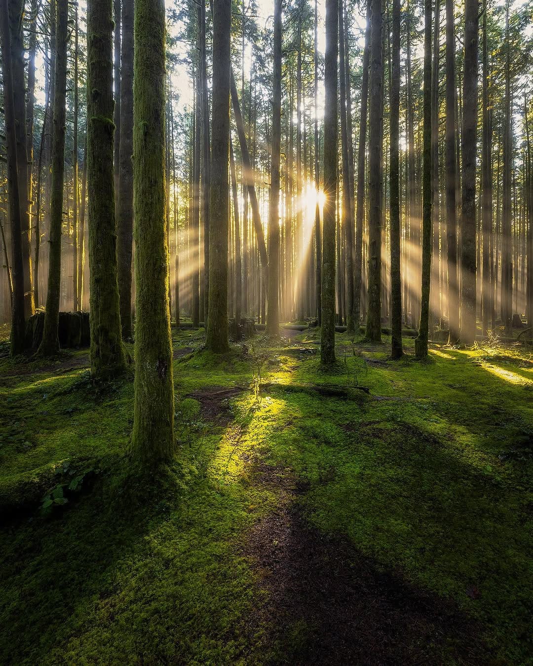 Post 4 by Kaden Van Buren on Instagram (image)