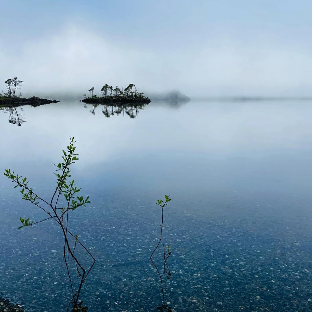 Post 5 by Discover Vancouver Island on Instagram (image)