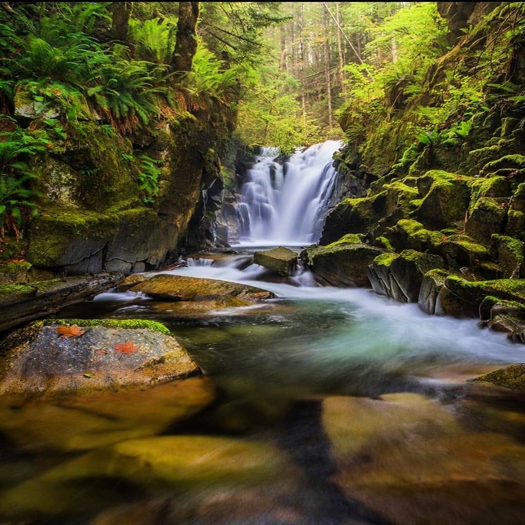 Post 9 by Discover Vancouver Island on Instagram (image)